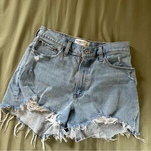 Abercrombie & Fitch Curve Love Mom Shorts NWOT